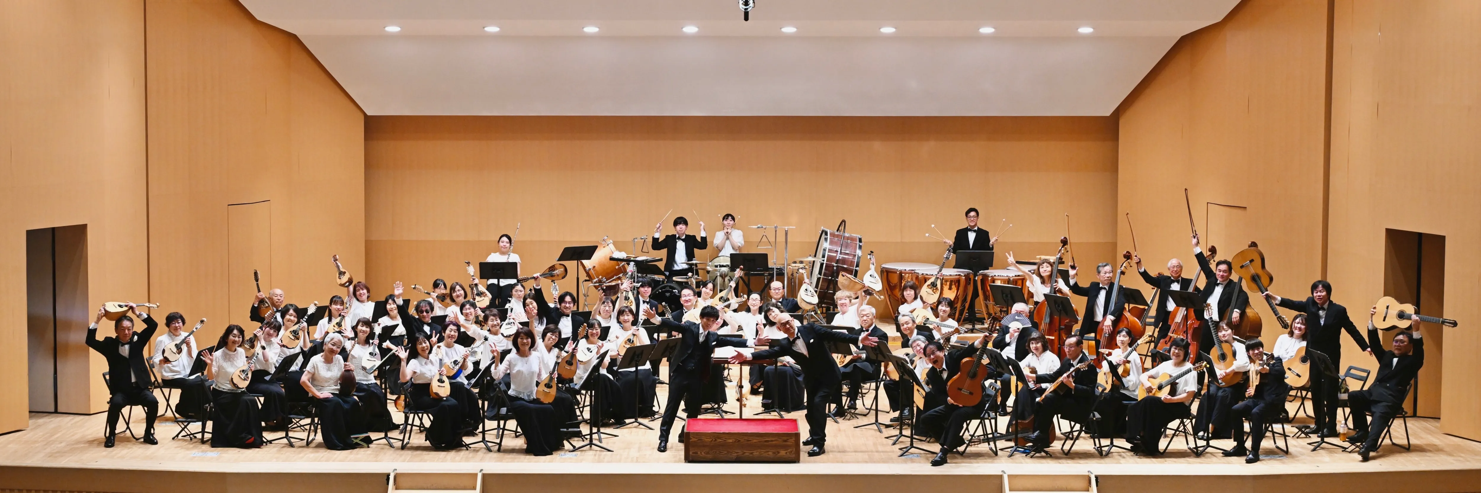 Mandolin Orchestra performing